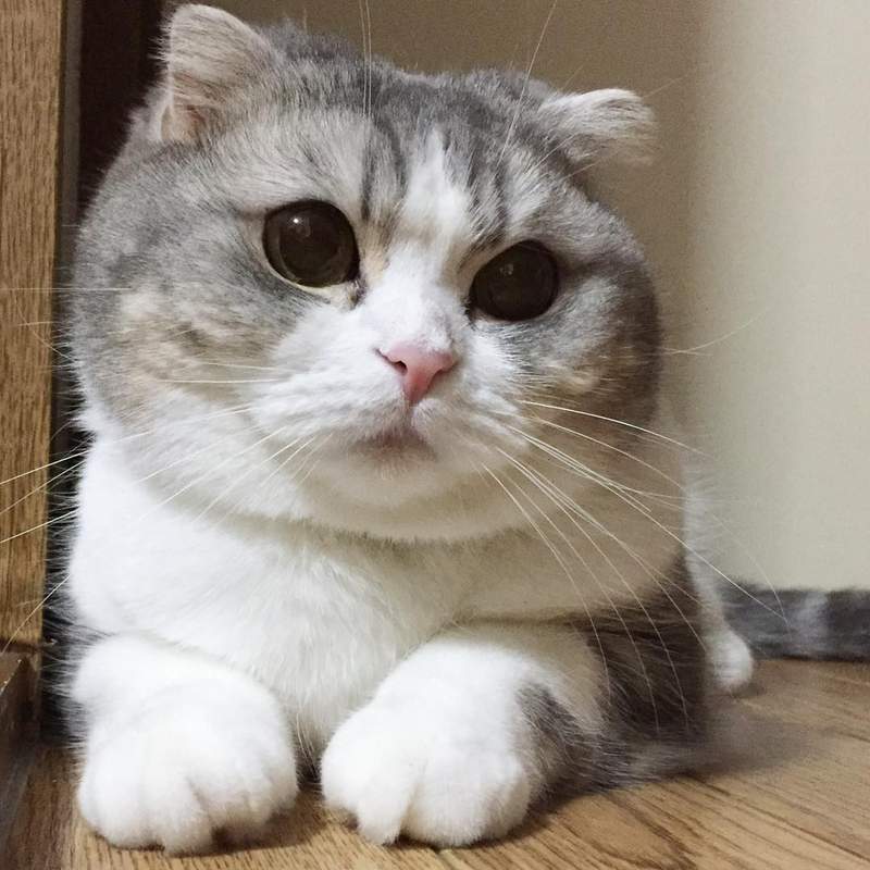 <b>ֻ500ƽ̨ռ˫°͡eķ磬ڳ</b>