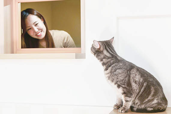 <b>ֻ500ЦרΪè˴ġèūԢӿ</b>