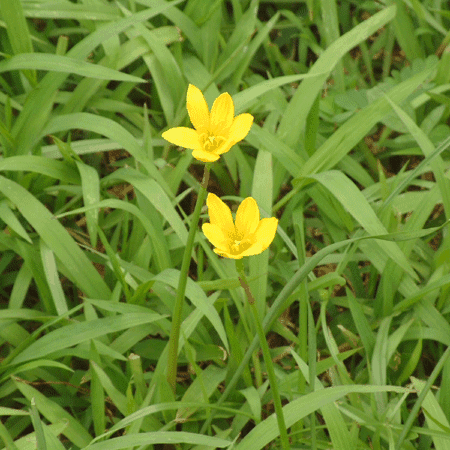 <b>˴ֻ500</b>