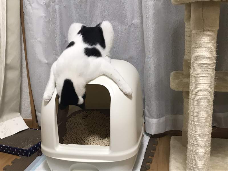 <b>èĹ񱡷겻ϴֻ500èɰ͵Լ㣬</b>