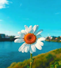 <b>ֻ500ƽ̨۳Ů</b>