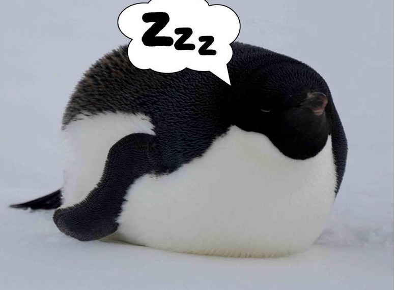 <b>Ŀɰ˯˴ֻ500㼣ǑһԲ</b>