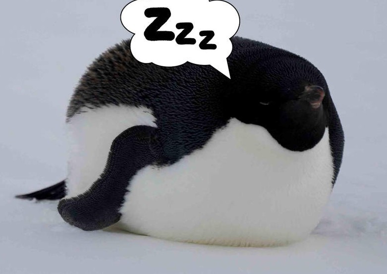 <b>Ŀɰ˯ˡǑһԲͣһ˲ϲ</b>