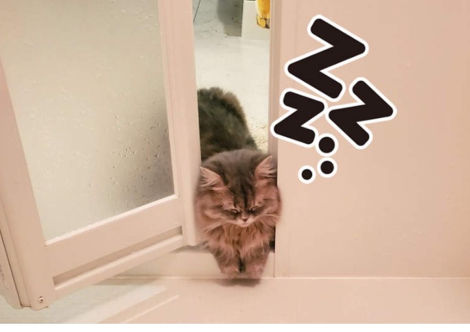 <b>ż˯è䡷ֻ500ԡ͵ˣ</b>