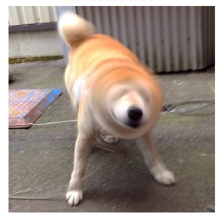 ֻ500ƽ̨𣿡Ȯıɱвͷshibe