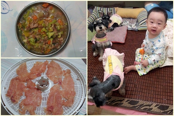 现在杨雪玉都自己做鲜食、零食给狗狗吃,还让小孙子跟它们玩在一起。 杨雪玉/提供