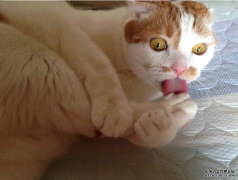 <b>ػ⡶èͼϢèū..</b>
