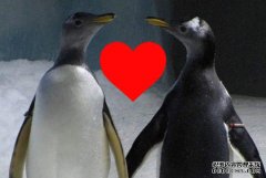 <b>ˮݡ14ֻ4ͬ־¡ Խ</b>