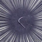 <b>⡿·߲ʱ˸ĲȻǹе...</b>