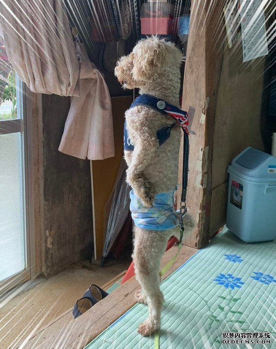 欧亿平台好吗 是我家假日