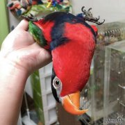 <b>BҺwCĕXB㲻ҲˮXDŷں</b>