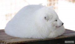 <b>DࡿĺҺwֻ؈䣬ëqqĺҲ</b>