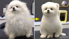 <b>жˮ󣬵ġëԱȡ̫ڲΪǴ</b>