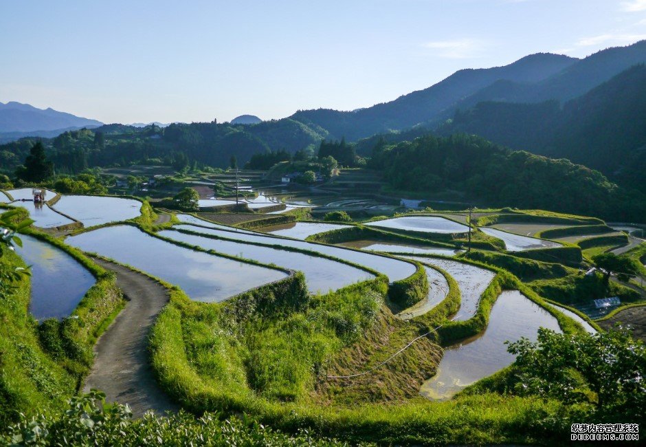 杏耀注册 台湾最荒芜
