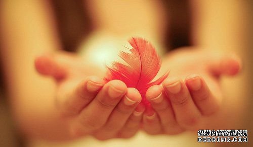 杏耀平台好吗 买个奇观