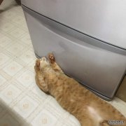 <b>һͼжȡԴñ֮ⲻ</b>