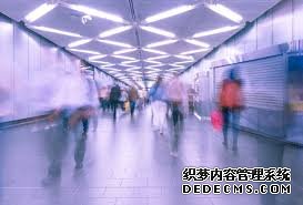 大只500平台 这就是
