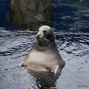 <b>ΪʲôȥˮݣԿ</b>