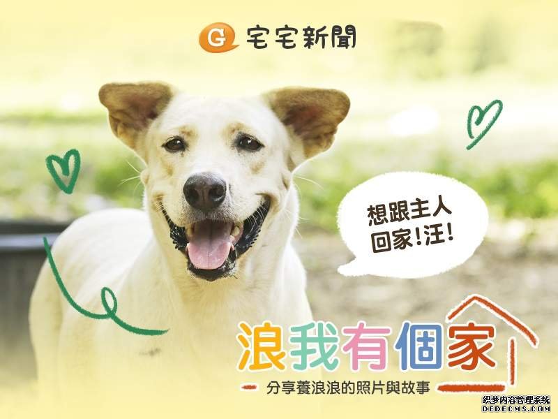 欧亿平台好吗 们看起来