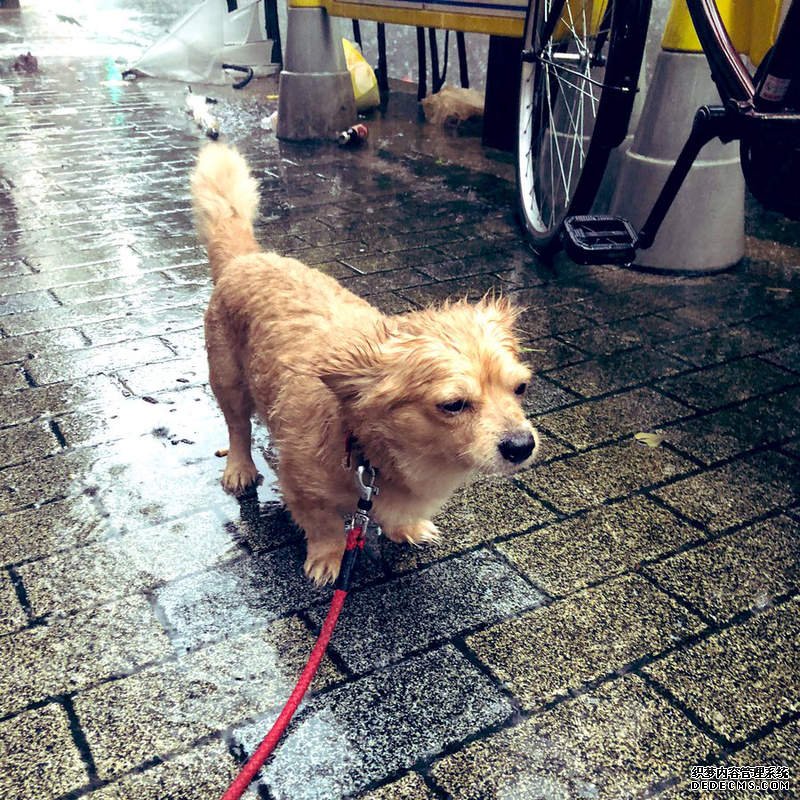 欧亿平台好吗 关于欧亿