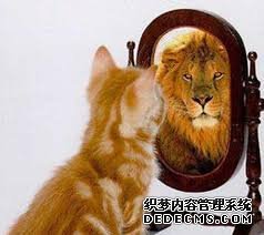 杏耀平台历史 怎么样?