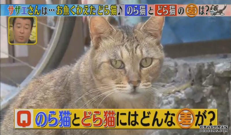 欧亿历史
