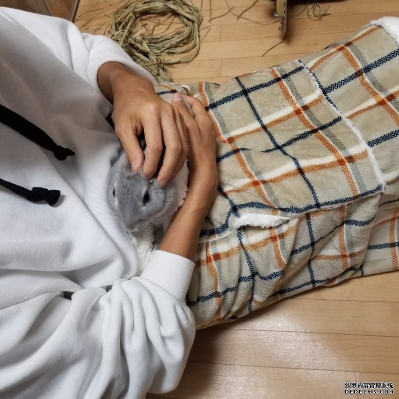 欧亿网址