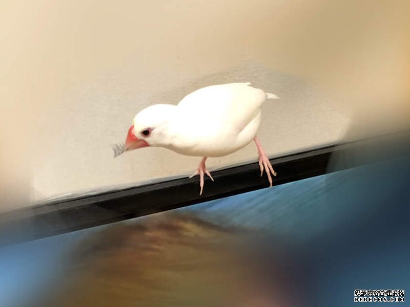 欧亿平台官方