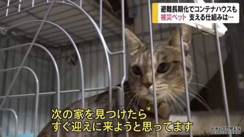 欧亿平台