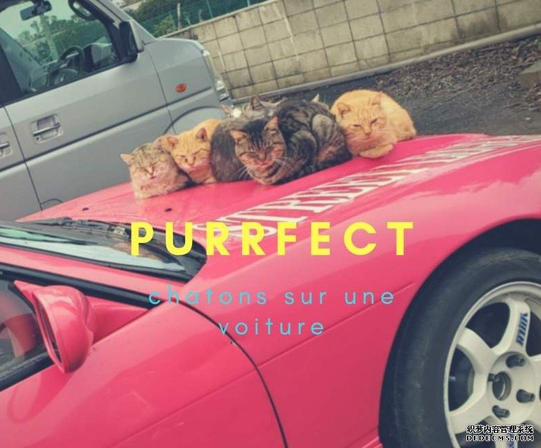 欧亿平台好吗