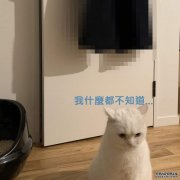 <b>ڴֻ500è˾ȵط֣èƤ¡ʦ</b>