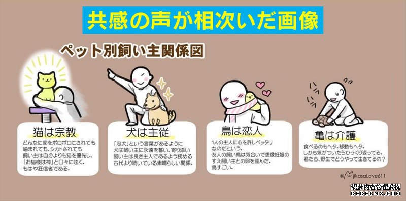 大只500平台怎么样
