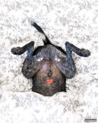 <b>ֻ500ʷ̱Ĺ˵ֱ̫ˡIGѾ</b>