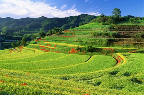 大只500平台靠谱吗
