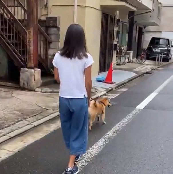 大只500网址