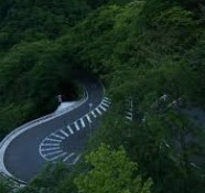 大只500招商