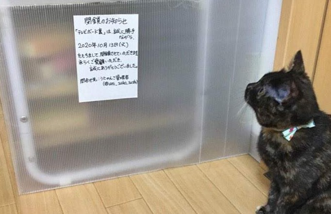 大只500注册页面
