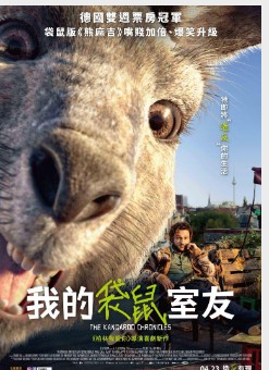 金牌大只总代