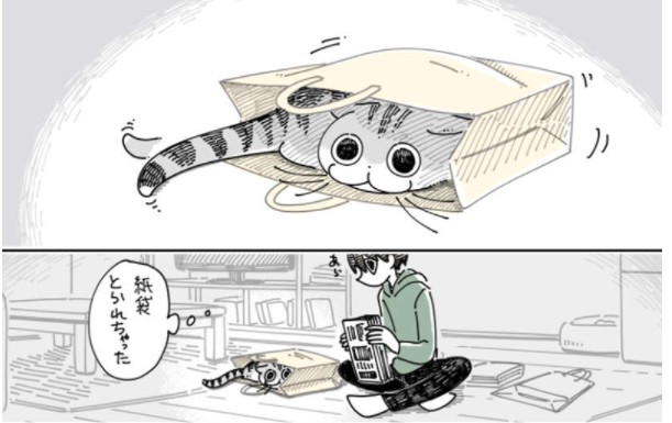 大只500历史