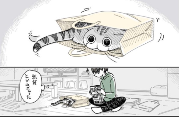 大只500平台好吗