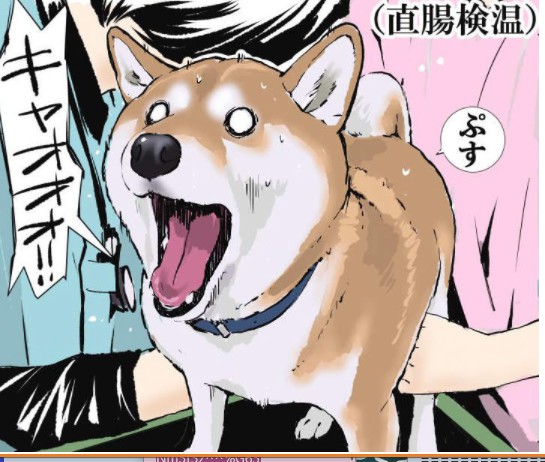 大只500平台好吗