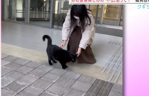 大只500历史