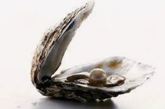 大只马是什么