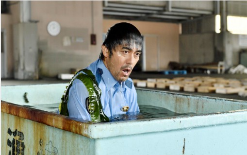 金牌大只总代