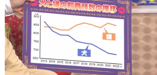 大只500平台好吗