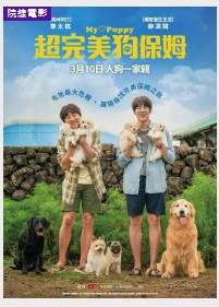 金牌大只总代