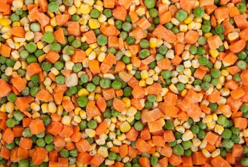 大只500登录中心