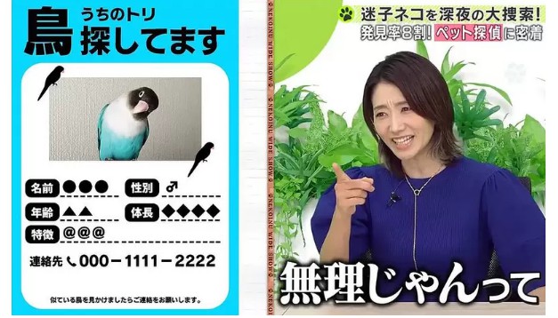 大只500平台有信誉吗