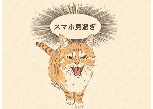 大只500平台有信誉吗