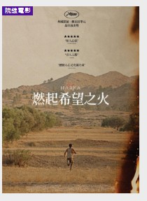 金牌大只是什么网站
